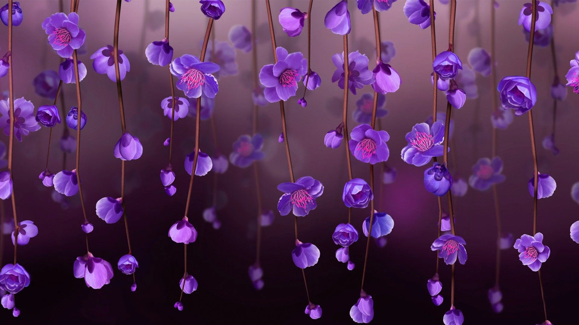 Hình nền tím - những chùm hoa tím rủ xuống với nền gradient hồng tím lãng mạn, thích hợp làm wallpaper điện thoại