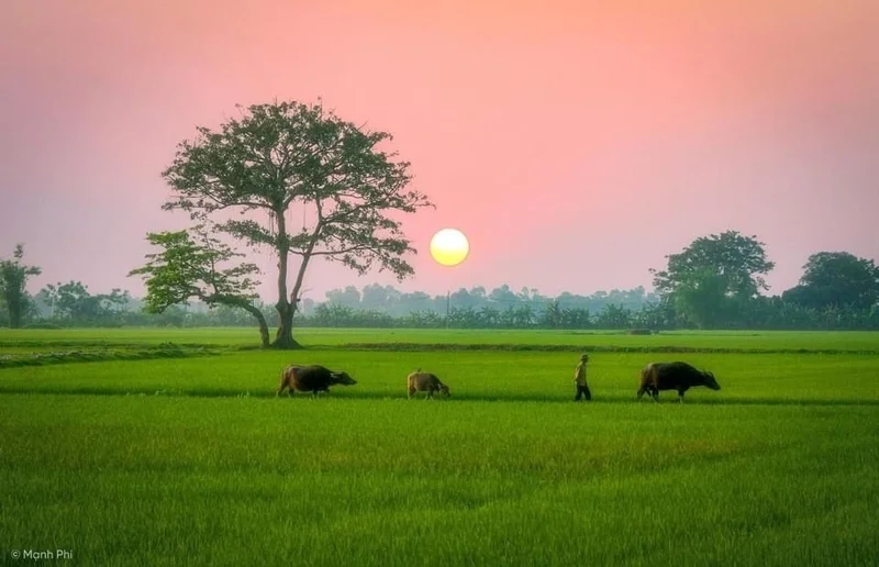 Tổng hợp những ảnh phong cảnh đẹp nhất từ làng quê đến biển cả