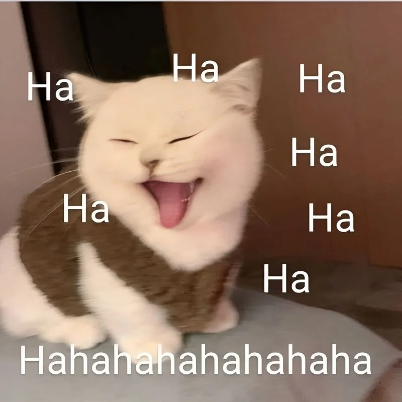 1001+ ảnh meme hài hước, độc đáo nhất 2026