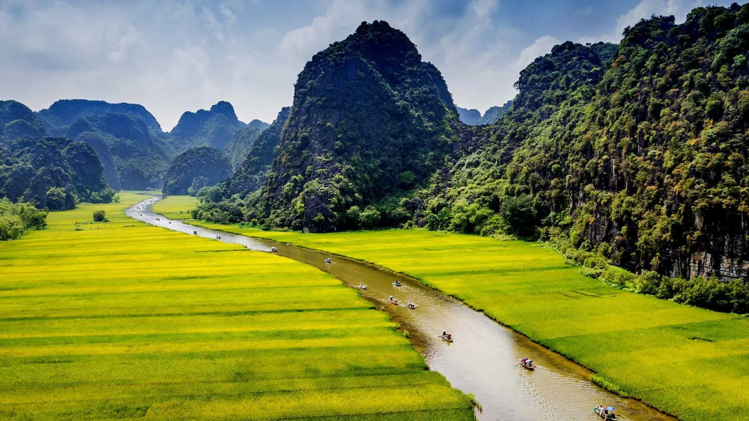 Phong cảnh thiên nhiên tuyệt đẹp với những dãy núi đá vôi và cánh đồng lúa chín tại Tam Cốc
