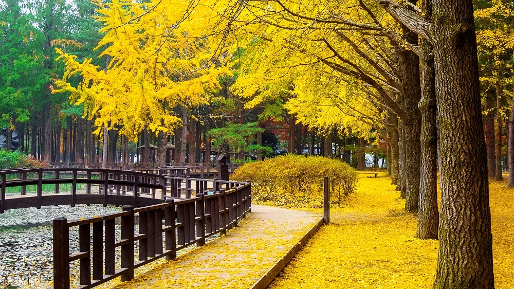 Tranh dán tường phong cảnh thiên nhiên đẹp, sống động